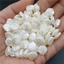 20 Chiếc Vỏ Trái Tim Hạt Mặt Dây Chuyền Giả Ngọc Trai Ngôi Sao Acrylic Trắng Cho DIY Vòng Tay Vòng Cổ Trang Sức Làm Tình Yêu Bông Tai Phụ Kiện