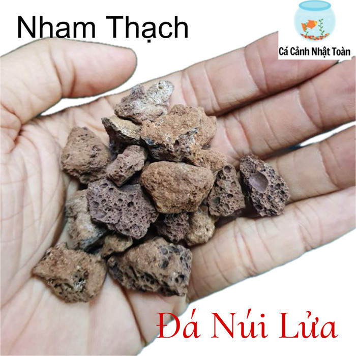 Combo Lọc Tràn Nhựa 45x13x13cm Kèm Vật Kiện Lọc, Chưa Kèm Bơm Nước (Lọc Cứng Cáp, Chắc Chắn)