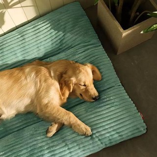 Giường cho chó có thể giặt được Kích thước lớn Giường cho chó Giường mèo dày mềm mại ấm áp Thảm ngủ cho thú cưng, Sofa cho thú cưng