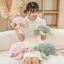 DELMER Động vật nhồi bông rùa dễ thương, Đồ chơi sang trọng rùa biển màu hồng sang trọng, Phim hoạt hình màu xanh lá cây Động vật hoạt hình Gối rùa mềm Búp bê sang trọng Cô gái
