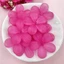 Set 10 Hạt Cườm acrylic Hình Hoa 29mm Dùng Làm Trang Sức / Điện Thoại diy