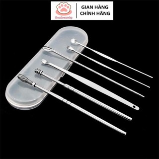 Bộ 5 Dụng Cụ Lấy Ráy Tai INox (Hộp Nhựa)