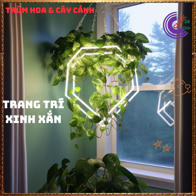 Chậu TRẦU BÀ CẨM THẠCH VẠN NIÊN THANH cây trồng trong nhà ưa mát️🌭 Hoa Mười Giờ Bonsai & Phụ Kiện