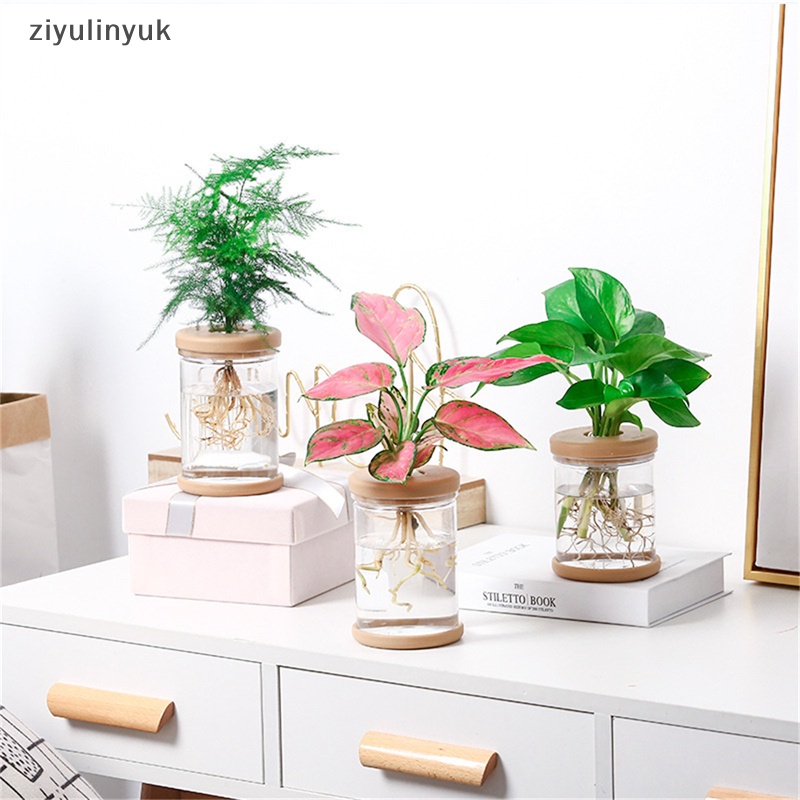 Chậu Trồng Cây Bằng Thủy Tinh Giả Kích Thước Nhỏ