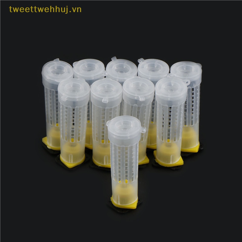 Tweehuj Set 10 Cốc Dụng Cụ Nuôi Ong Chúa Lăn Lồng Nuôi Ong vn