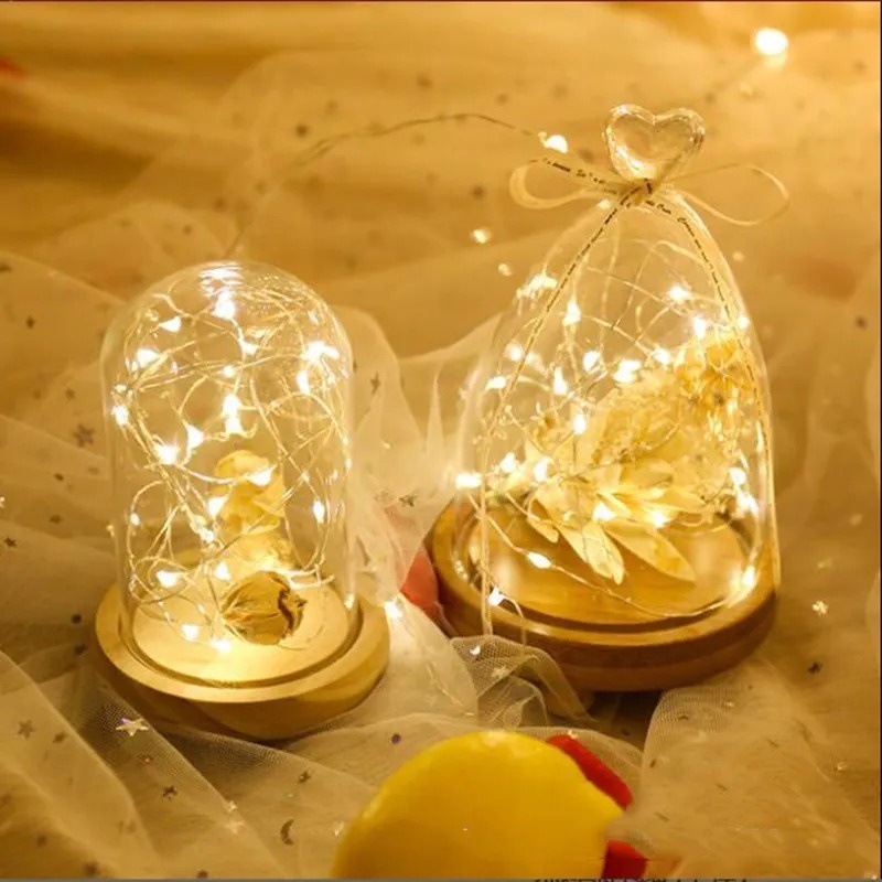 Dây Đèn led 1 / 2m Trang Trí Tiệc Tùng / Giáng Sinh / Tiệc Cưới Ngoài Trời