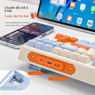 "Những con sói tự do M87" Bàn phím 2 mô hình Bluetooth không dây, văn phòng chơi điện tử, phím âm thanh PBT.