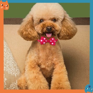 18 Màu Thú Cưng polka Chấm Cổ Thú Cưng Khăn Cho Thú Cưng Ngày Lễ Cà Vạt Mèo Cà Vạt Thú Cưng Cổ Thời Trang Thú Cưng Giáng Sinh Mặc Quần Áo