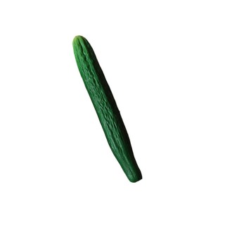 Mô phỏng giáo dục KIN Đồ chơi mô hình dưa chuột Aubergine dành cho trẻ em và người yêu thích