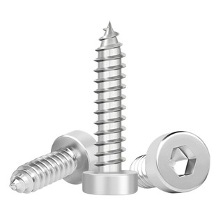 ((LXY) Vít Đầu Tròn，Ốc Vít Đầu Lục Giác  Bằng inox 304 Đinh vít lục giác chìm - đinh vít gỗ loa - vít ren thưa - vít tự khoan M1.7 / M2 / M2.3 / M2.5 / M3 / M3.5 / M4 / M5 / M6 / M8 (RM-VN-w)