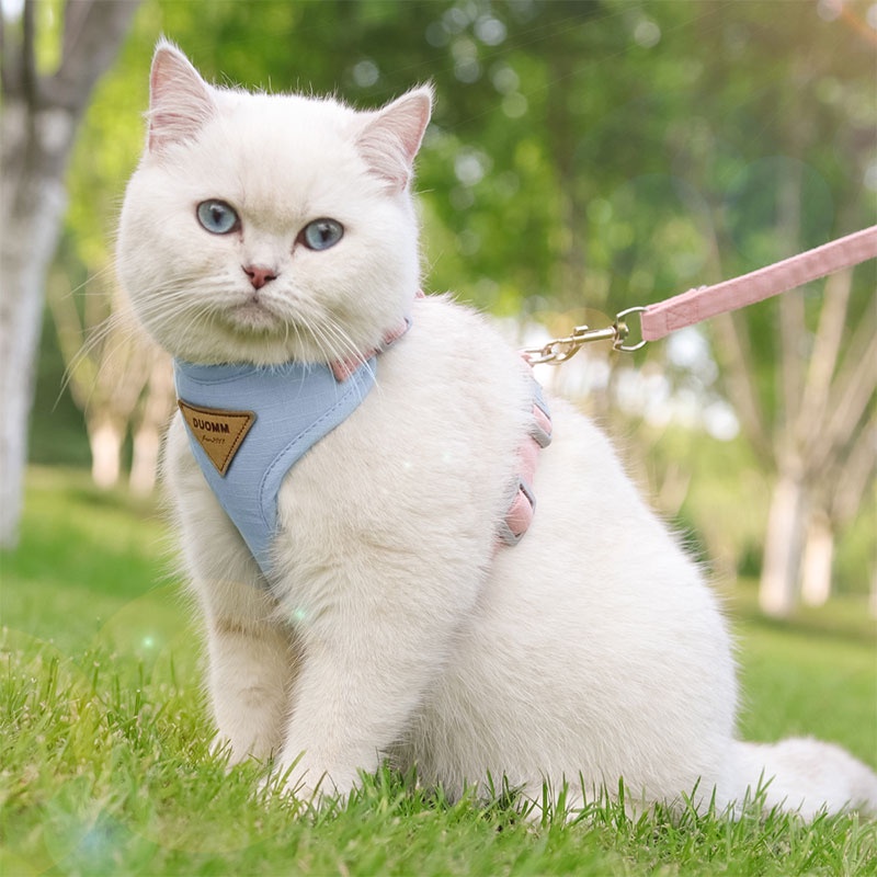 HamshMoc Nhẹ Mèo Dây Và Dây Xích Bộ Có Thể Điều Chỉnh Mèo Con Chó Con Áo Vest Thoải Mái Dây Dẫn Có Tay Cầm Mềm Chống Lộn Cho Mèo