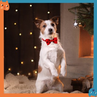 18 Màu Thú Cưng polka Chấm Cổ Thú Cưng Khăn Cho Thú Cưng Ngày Lễ Cà Vạt Mèo Cà Vạt Thú Cưng Cổ Thời Trang Thú Cưng Giáng Sinh Mặc Quần Áo