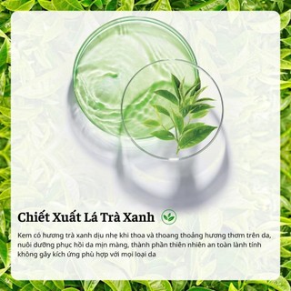 Kem Dưỡng Ẩm Tinh Chất Trà Xanh Thiên Nhiên Cấp Nước Cho Da Mịn Màng Hết Khô Sạm Xỉn Màu
