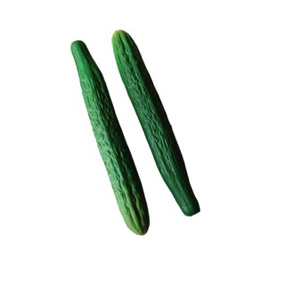 Mô phỏng giáo dục KIN Đồ chơi mô hình dưa chuột Aubergine dành cho trẻ em và người yêu thích