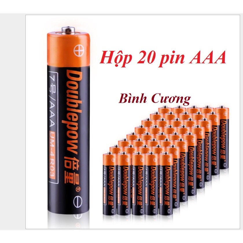 Hộp 20 viên pin đũa Doublepow AAA | Shopee Việt Nam
