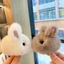 JUNYUE88US Thỏ Móc Khóa Sang Trọng, Rex Lông Thỏ Hình Thỏ Lông Thỏ Móc Khóa Bóng Lông Thỏ, Bóng Thỏ Mini Cá Tính Dễ Thương Lông Tơ Thỏ Kyring Xe Hơi