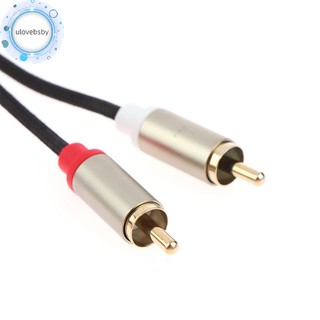 Ulovebsby Loại C Sang Cáp Âm Thanh 2 Bộ Chuyển Đổi Dây Aux USB C Dây Âm Thanh Cho Laptop Điện Thoại Di Động Loa Khuếch Đại Âm Thanh Cáp Khuếch Đại 1 Mét VN