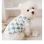 『 HiPiDog 』 Quần áo cho chó Áo len có mũ trùm đầu Trang phục cho chó Thú cưng Quần áo dễ thương nhung hai cánh