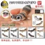 Hàng có sẵn Bandai Fat Tail Gecko Oreo Straight Line Zulu Whitening Trendy Play Trang trí viên nang Đồ chơi mô phỏng động vật ZVFY