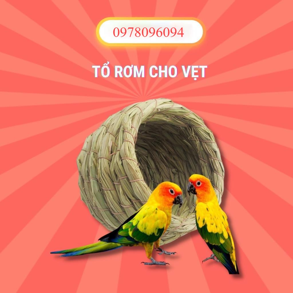 Tổ Rơm Cho Vẹt Tổ Chim Chim Chào Mào Tổ Gà Rutin Tổ Chim Sinh Sản Tổ ...