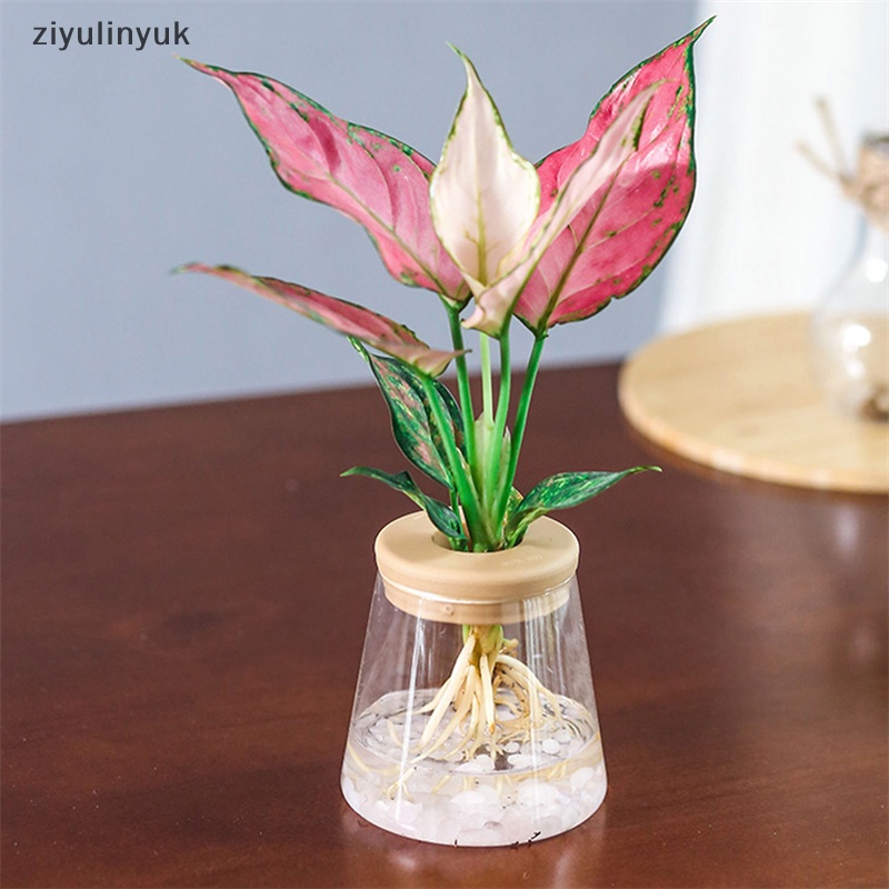 Chậu Trồng Cây Bằng Thủy Tinh Giả Kích Thước Nhỏ
