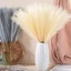 ORDOBOX 10 Cái / bộ Boho Trang Trí Hoa, DIY Sắp Xếp Hoa Lông Tơ Pampas Cỏ, Đơn Giản 55CM Trang Trí Nhà Cây Giả Tiệc Cưới Reed