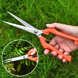 Jkdesign Kéo cắt tỉa vườn, Dụng cụ làm vườn mỏng Miếng dán rau củ, Dụng cụ cầm tay chuyên nghiệp Kéo cây cảnh bằng thép không gỉ