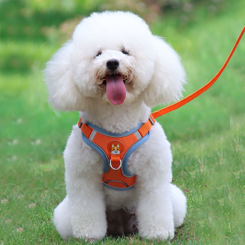 HamshMoc Bộ dây nịt và dây xích cho chó mềm có thể điều chỉnh cho thú cưng Dây xích bền có khóa tháo nhanh cho chó nhỏ vừa lớn