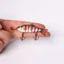 Mồi Bionic, Mắt Sống Động Như Thật Bass Crankbaits 6 Đoạn Mồi Câu Cá, Mini 5 Đoạn Artifici Cứng Nhựa Quay
