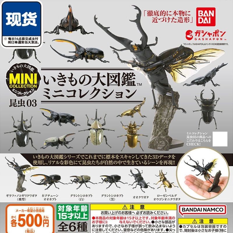 [BTF] Mô Hình Sách Gashapon MINI Côn Trùng Bọ Cánh Cứng 3 Stag Beetle KRTV