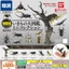Mô Hình Sách Gashapon MINI Côn Trùng Bọ Cánh Cứng 3 Stag Beetle KRTV