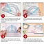 Thước đo góc hoạt động ROLY, Dụng cụ vẽ hình tròn đa chức năng Bevel Protractor, Trình diễn góc hoạt động bằng nhựa sáng tạo Sinh viên