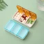 Hộp đựng thuốc ZENZON, Hộp đựng thuốc sáng tạo 3 lưới, Hộp đựng thuốc chống bụi đa năng Hộp phân phối du lịch