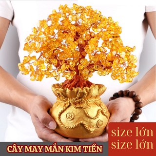 Cây Kim Tiền Myd.23 Tài Lộc Phong Thủy May Mắn Đá Thạch Anh Phát Tài