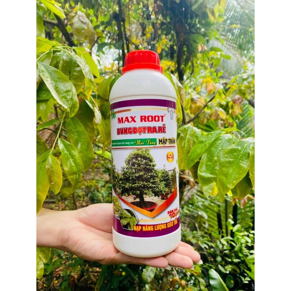 MAX ROOT - BUNG ĐỌT RA RỄ cực mạnh chuyên dùng cho mai vàng ( chai 1 ...