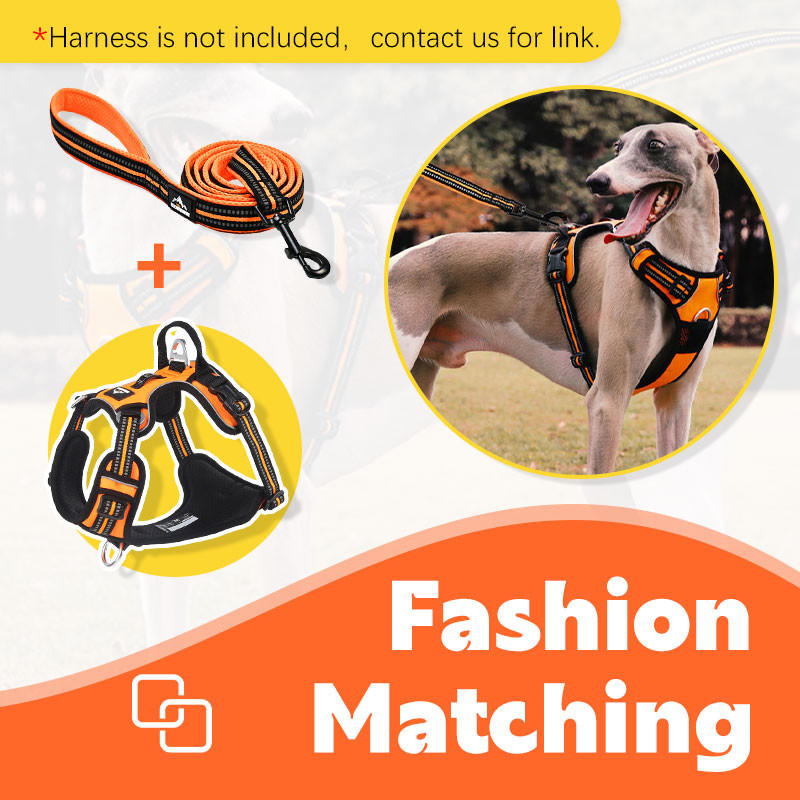 HamshMoc Nylon Dây Xích Chó Mạnh Mẽ Dây Xích Thú Cưng Phụ Kiện Cho Chó Có Phản Quang Khâu Móc An Toàn Tay Cầm Thoải Mái Cho Chó