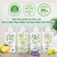 Nước rửa bình sữa rau củ quả thuần chay cho bé ATONO2 Hàn Quốc
