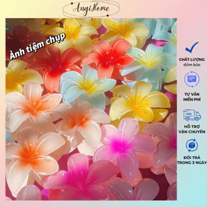 Kẹp Tóc Gắp Tóc kiểu càng cua hoa năm cánh làm phụ kiện cho mái tóc đi biển ANGIHOME