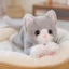 CODECOVED Đồ chơi sang trọng cho mèo mô phỏng, Gối mèo con sang trọng màu trắng / xám hoạt hình, Bộ sưu tập Búp bê mèo nhồi bông sang trọng nhồi bông sang trọng trẻ em