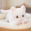 Đồ chơi nhồi bông mèo mô phỏng ZENZON, Gối mèo con sang trọng màu trắng / xám hoạt hình, đồ trang trí ghế Sofa sang trọng nhồi bông mềm mại Búp bê mèo sang trọng sinh nhật
