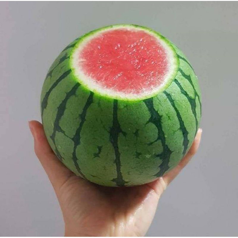 Hạt Giống Dưa Hấu Táo F1 | Quả Tròn Nhỏ, Ngon Ngọt, Thu Hoạch Nhanh, 20 hạt