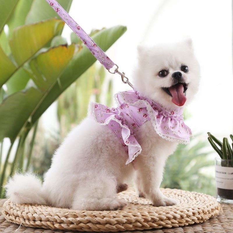 Chó cưng Dây xích ren hoa dễ thương Dây xích chó Dây xích chó