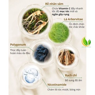 Serum kích mọc tóc nhanh, bảo vệ chân tóc, giảm gãy rụng tóc, dưỡng tóc óng mượt chắc khỏe