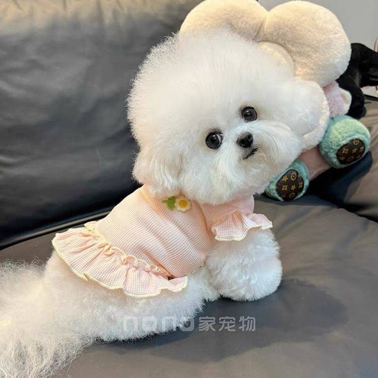 Pet Cat Teddy Cute and Breathable Clothes Bichon Dog Clothes Spring and ...