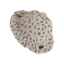 Mũ xô Cotton mềm mại và thoải mái cho trẻ mới biết đi XGB cho trẻ sơ sinh 0 đến 18 tháng tuổi