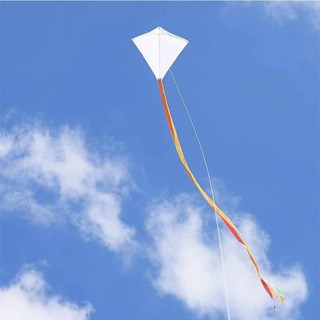 3 Pack Diamond Print Kites Summer Beach Outdoor Flying Kids Adult Games Activity 40*50cm
