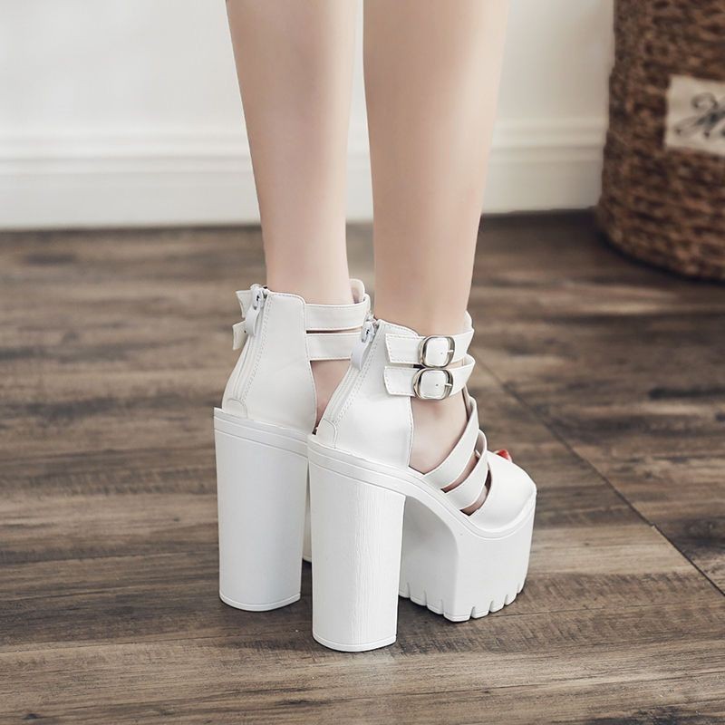 Phong Cách Mới 14cm Dày Gót Sân Khấu DJ Biểu Diễn Giày La Mã Miệng Cá Đế Dày Nền Tảng Tăng Chiều Cao Giày Cao Gót Nữ