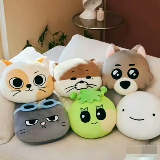 Kpop BOYNEXTDOOR Door Boy BM Gối SUNGHO LEEHAN Doll JAEHYUN LEEHAN