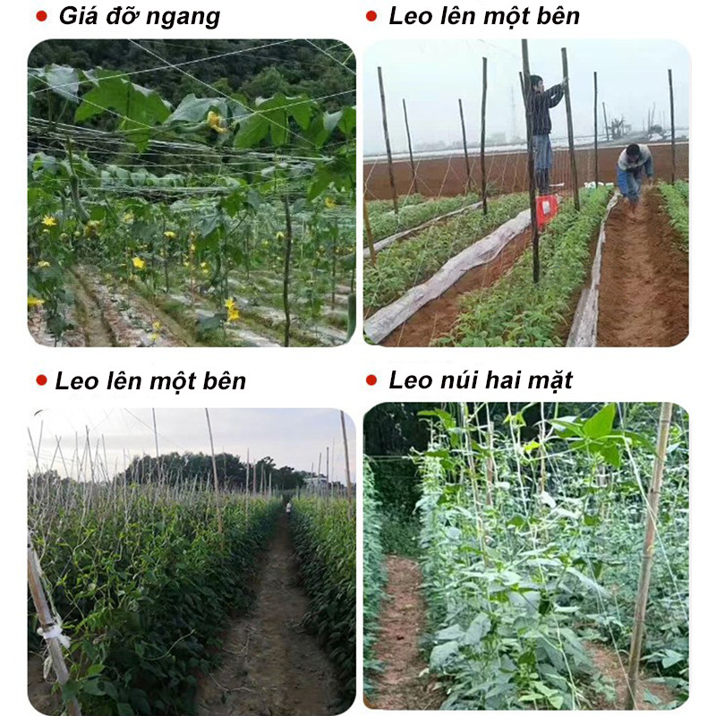 【Kích thước: 2m x 100m】Lưới giàn leo sân vườn- Lưới Trồng Cây，nó có thể được sử dụng để trồng dây leo, dưa chuột, v.v