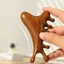 Lược Massage Kinh Tuyến Toàn Thân SUNKISSD, Lược Massage Đầu Năm Răng 4 in1, Răng Rộng Đa Năng Trị Liệu Gỗ Chống Tĩnh Điện Massage Lược Đầu Cổ Mũi Cheek